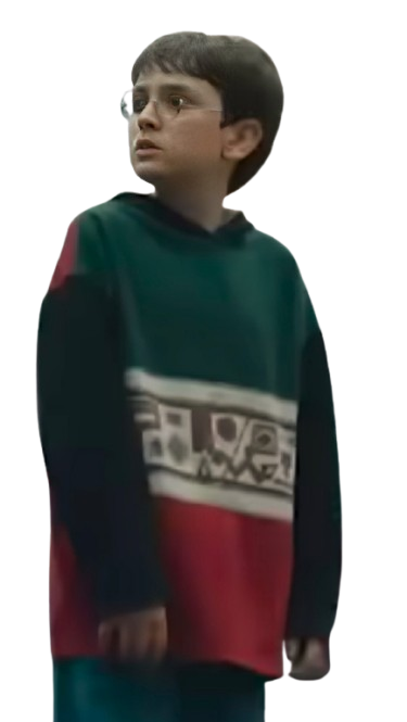 Harry Potter 2026 Colorblock Hoodie - Image 2